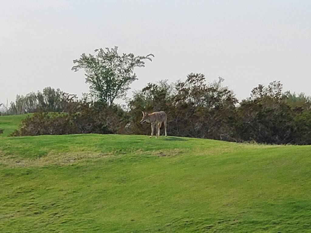 Painted Dunes Desert Golf Course | 12000 McCombs St, El Paso, TX 79934, USA | Phone: (915) 821-2122