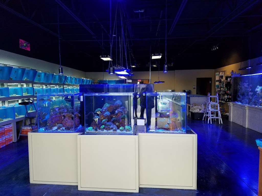 Paradise Aquatics | 16064 Foster, Overland Park, KS 66085, USA | Phone: (913) 339-9060