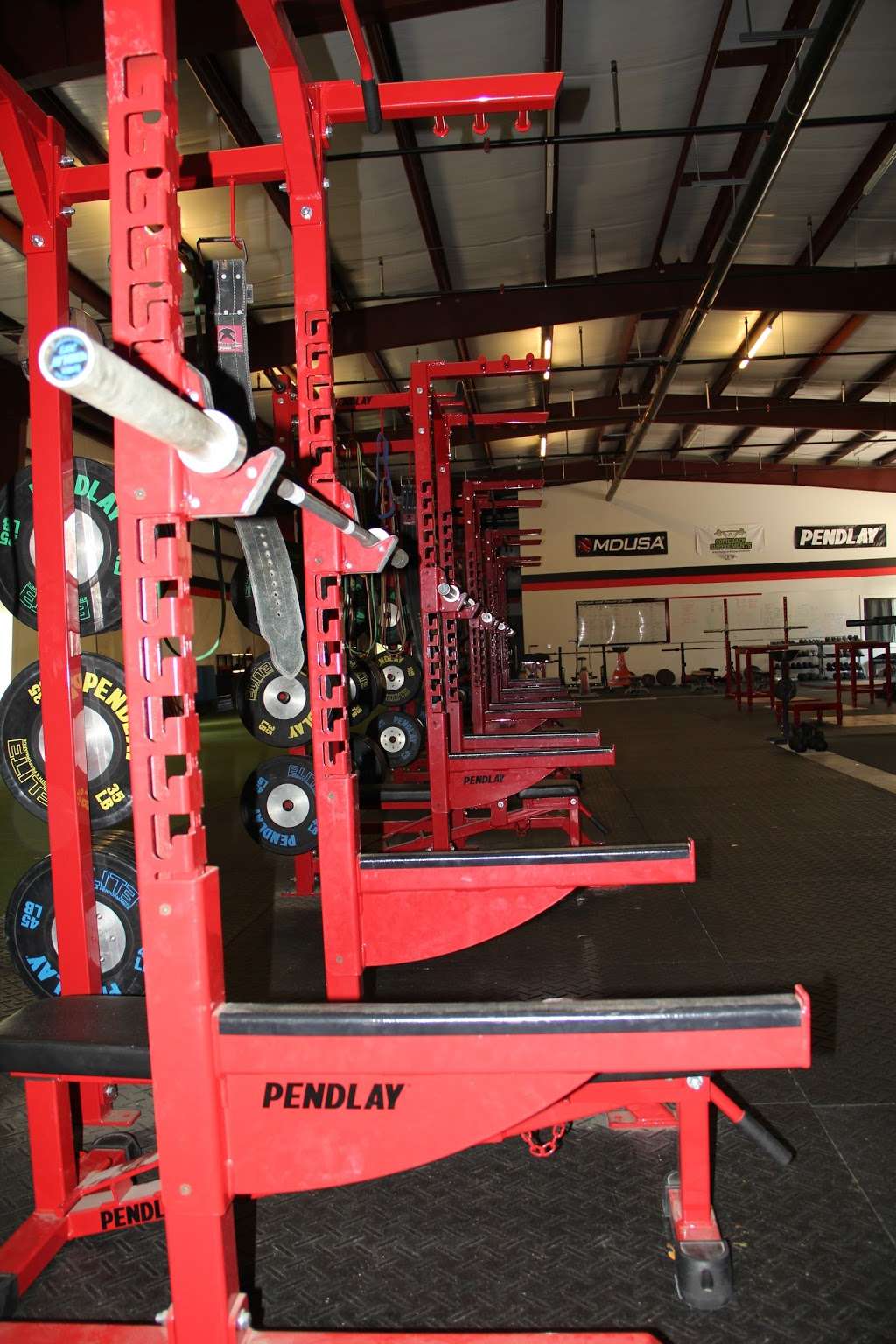 Elite Strength and Performance | 2330 S Nova Rd, South Daytona, FL 32119 | Phone: (386) 405-8410