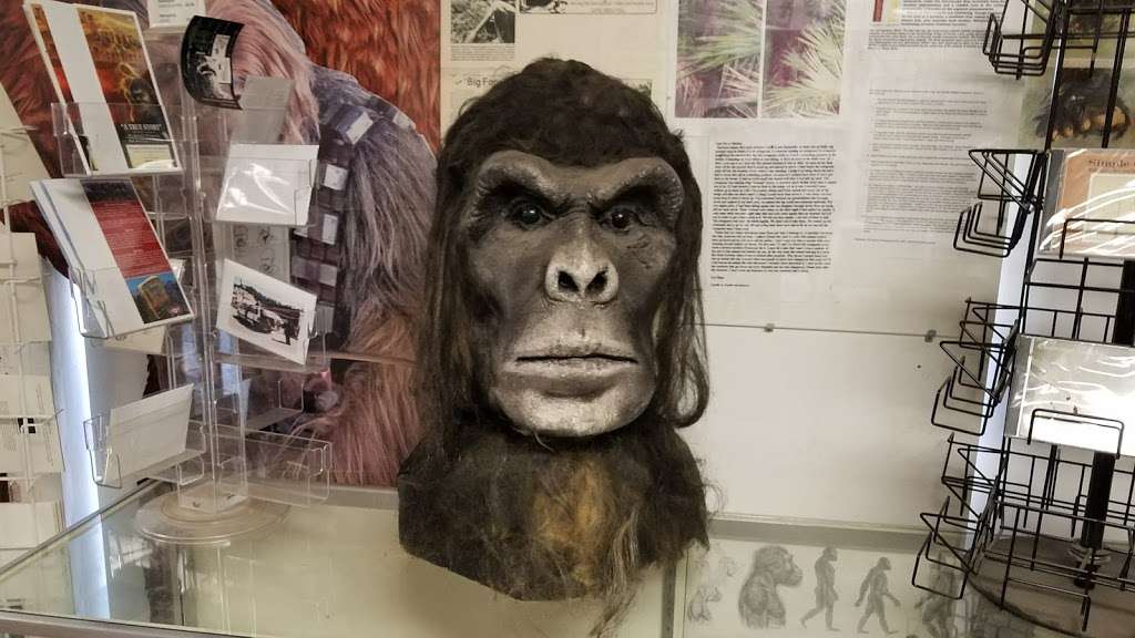 Bigfoot Discovery Museum | 5497 Hwy 9, Felton, CA 95018, USA | Phone: (831) 335-4478