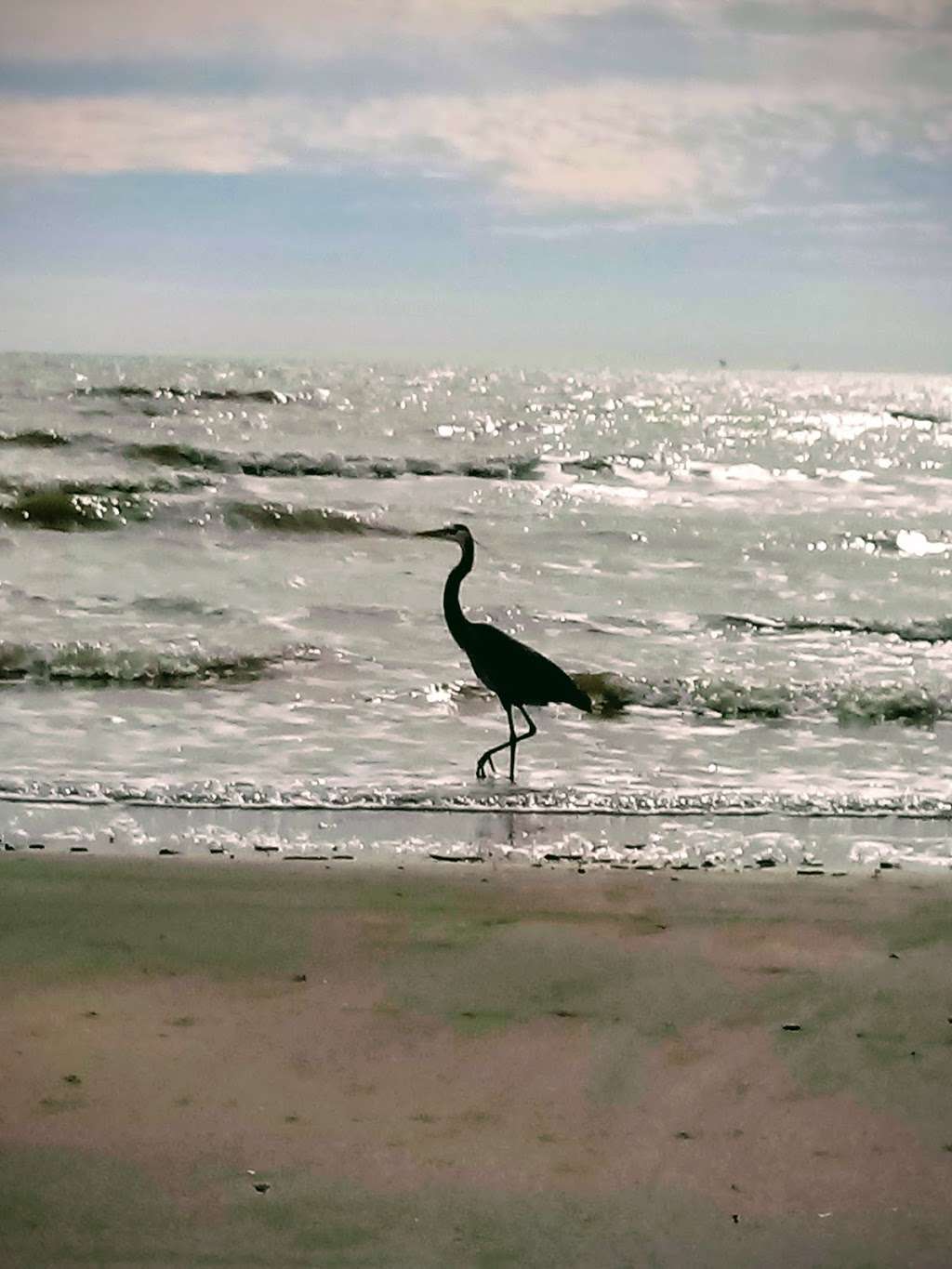 Sunny Beach | Bernice Dr, Galveston, TX 77554, USA