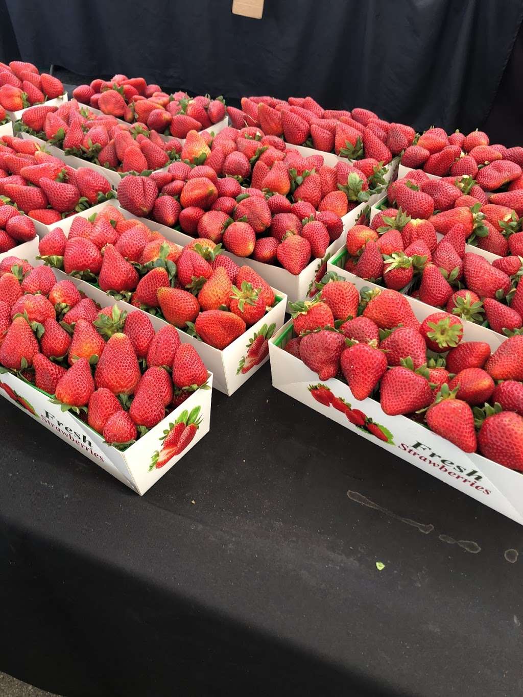 Pasadena Farmers Market | 2925 Sierra Madre Blvd, Pasadena, CA 91107, USA | Phone: (626) 449-0179