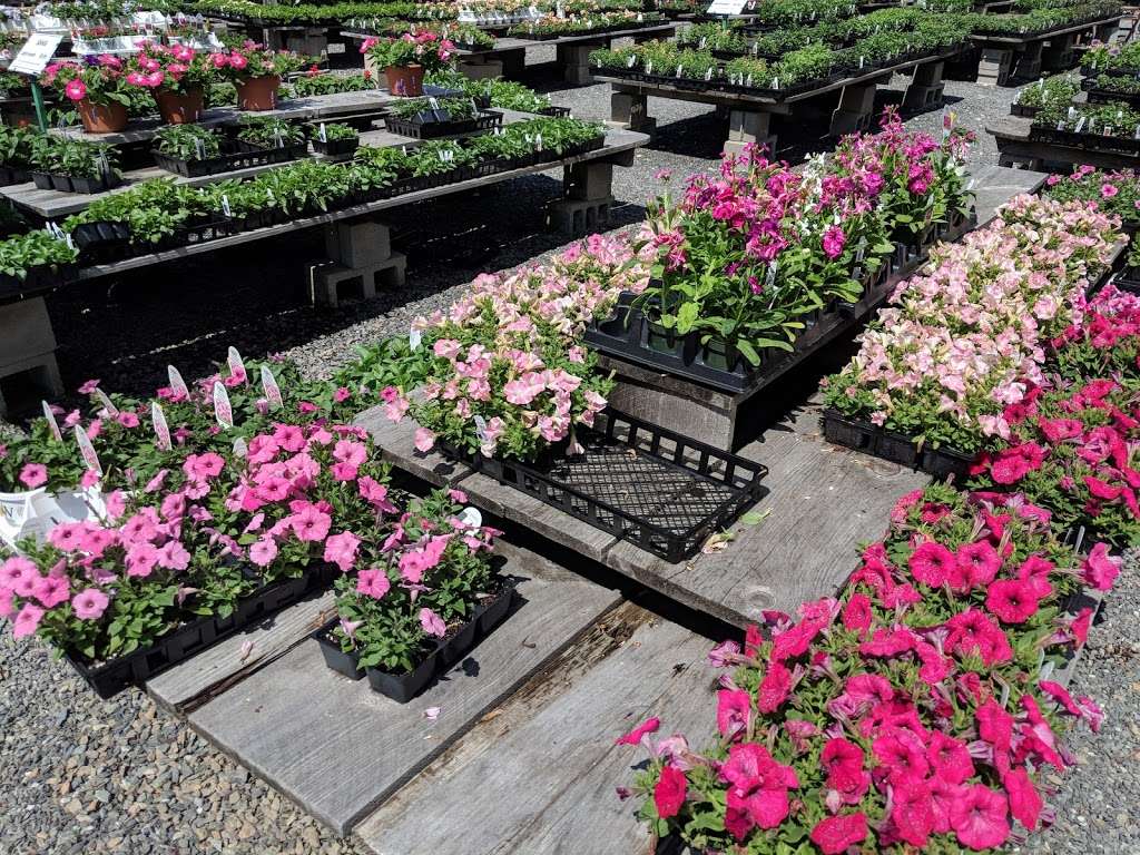 Russells Garden Center | 397 Boston Post Rd, Wayland, MA 01778, USA | Phone: (508) 358-2283