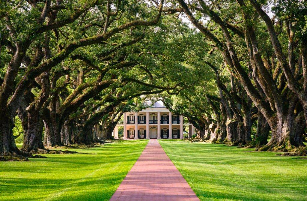 Old River Road Plantation Adventure | 2041 Canal St, New Orleans, LA 70112, USA | Phone: (866) 671-8687