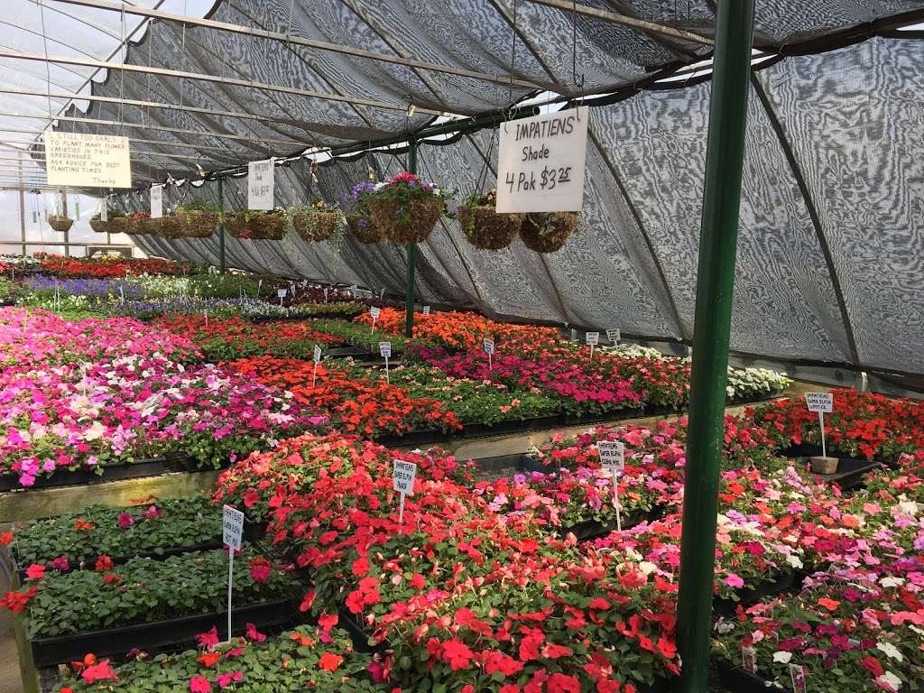 Howard Pines Garden Center | 9106, 1320, N 3rd St, Lawrence, KS 66044 | Phone: (785) 749-0302