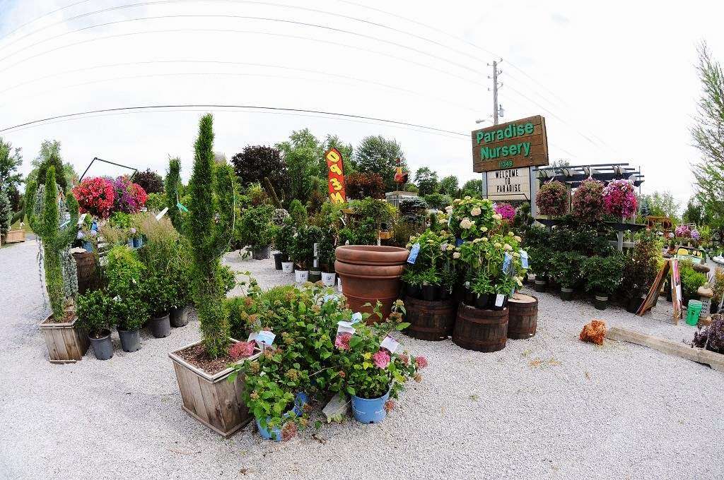 Paradise Landscape & Nursery | 11348 Pendleton Pike, Indianapolis, IN 46236 | Phone: (317) 823-9023