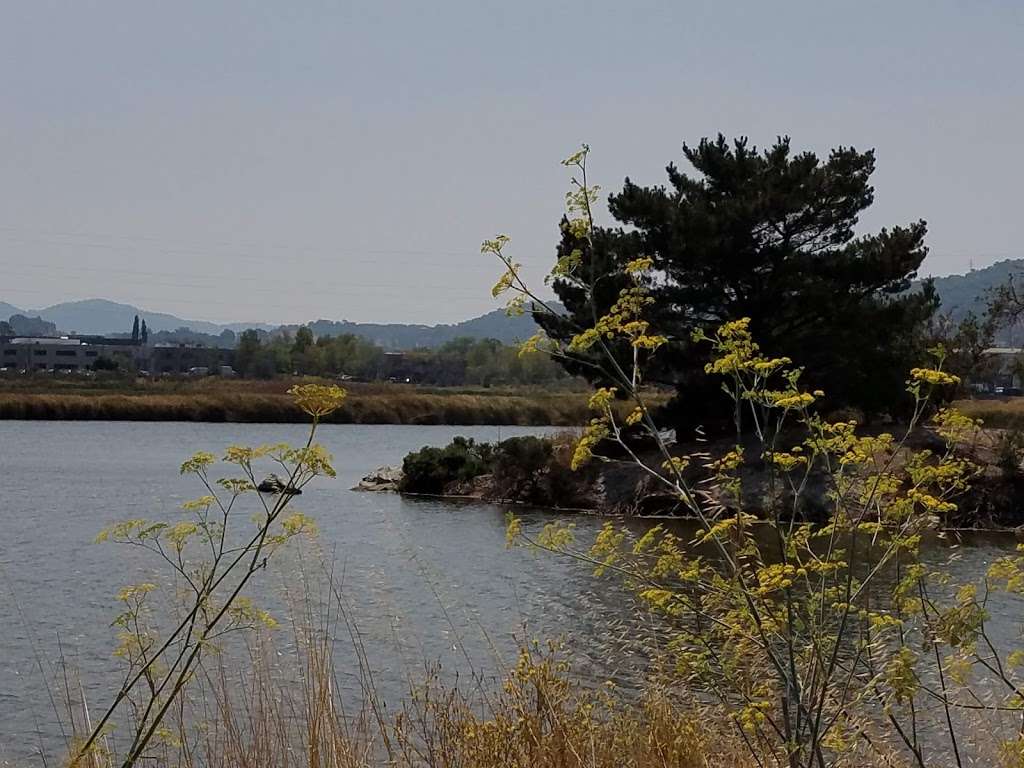 Pacheco Pond | 600-748 Bel Marin Keys Blvd, Novato, CA 94949, USA