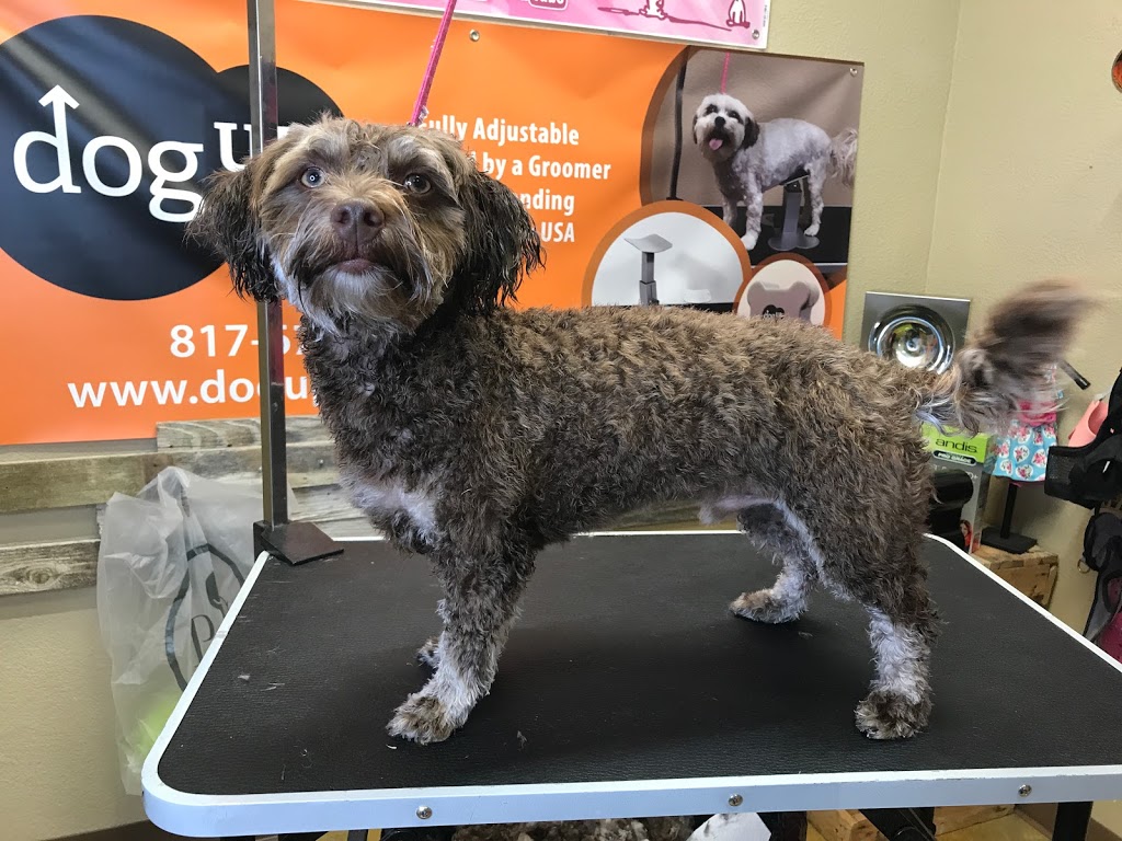 My Favorite Groomer LLC | 4364 Western Center Blvd # 141, Fort Worth, TX 76137, USA | Phone: (817) 676-1585