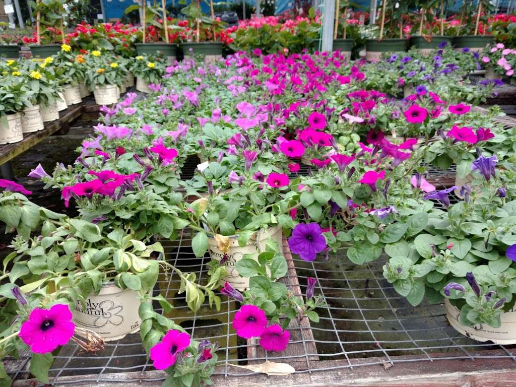 Bissett Nursery Corporation | 470 Deer Park Ave, Dix Hills, NY 11746, USA | Phone: (631) 493-1600