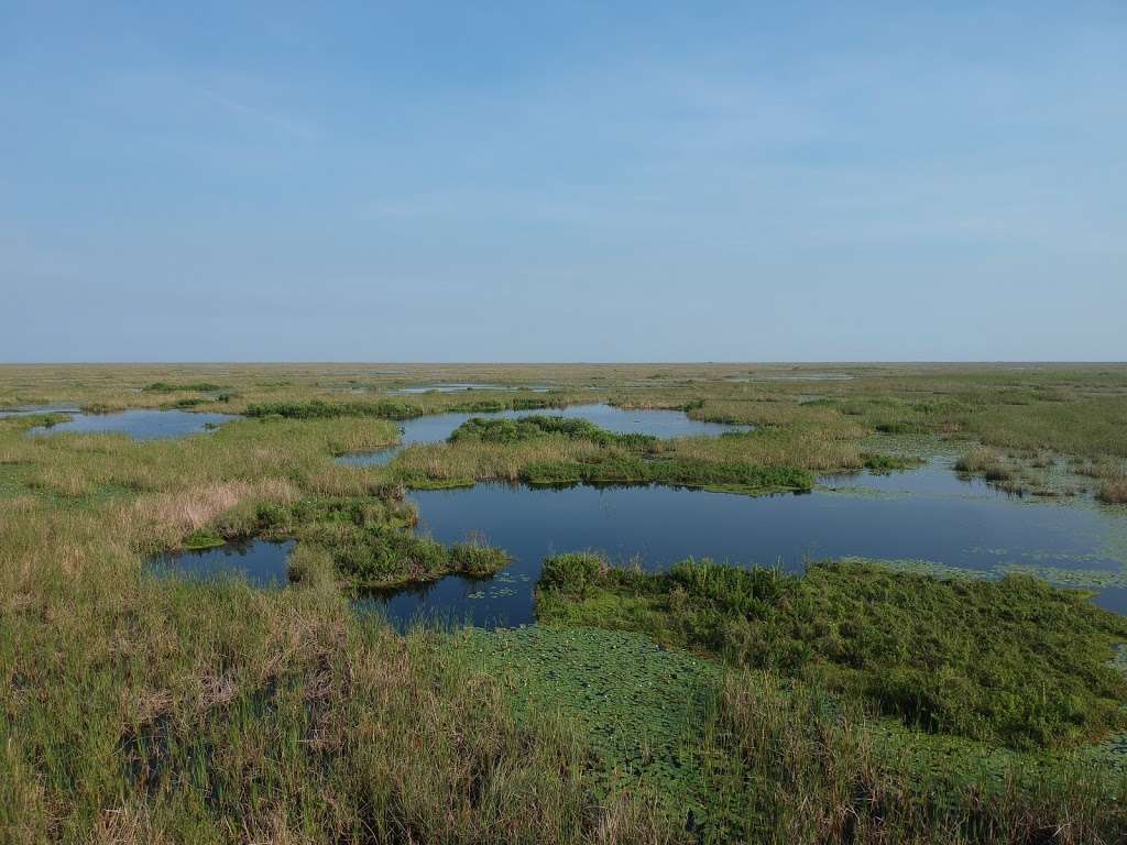 Everglades Wildlife Management Area Conservation Area Number 2A | Tamarac, FL 33321