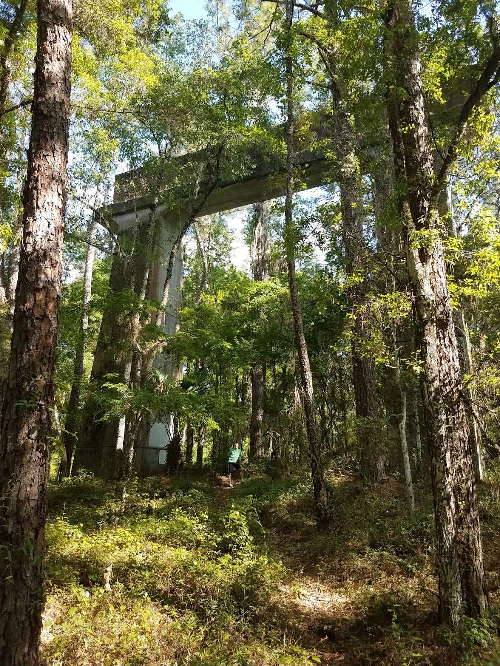 Cross Florida Greenway | Marshall Swamp,, Ocala, FL 34472, USA