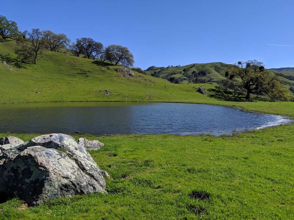 Sunol Regional Wilderness | 1895 Geary Rd, Sunol, CA 94586, USA | Phone: (510) 544-3249