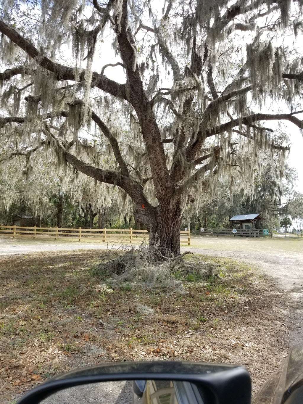 Chuluota Wilderness Area Trailhead Parking | 3693-3773 Curryville Rd, Oviedo, FL 32766, USA | Phone: (407) 349-0959