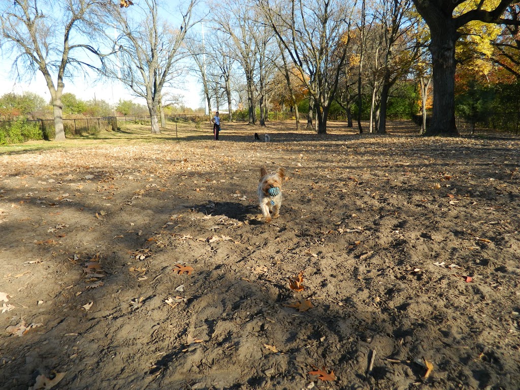 Locke County Dog Park | Rice Creek West Regional Trail, Fridley, MN 55432, USA | Phone: (763) 757-3920