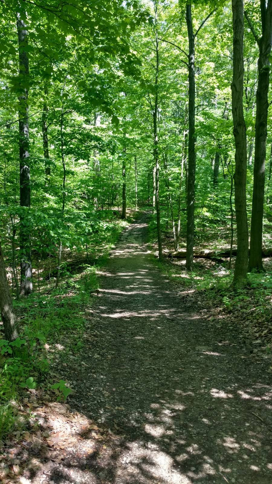 Buckeye Trail | Bridle Trail, Walton Hills, OH 44146, USA | Phone: (330) 657-2752