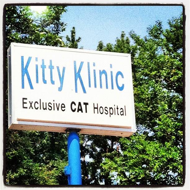 Kitty Klinic | 3447 Lyndale Ave S, Minneapolis, MN 55408, USA | Phone: (612) 822-2135