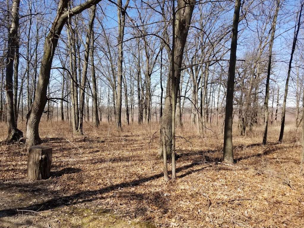 Lyons Woods Forest Preserve | 10200 Blanchard Rd, Waukegan, IL 60087, USA | Phone: (847) 367-6640