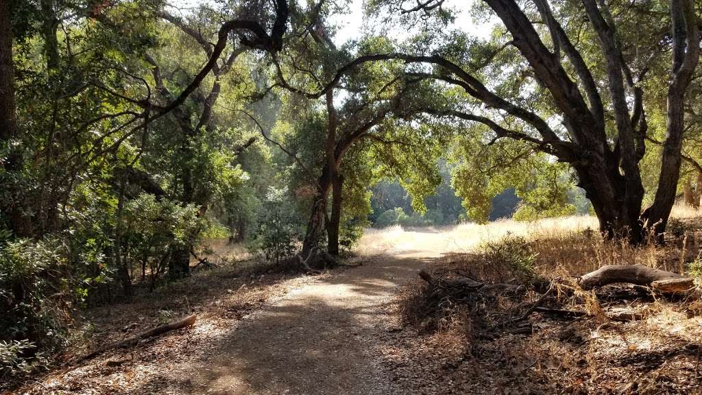 Almaden Quicksilver Hike | 17571 McAbee Rd, San Jose, CA 95120 | Phone: (408) 268-3883