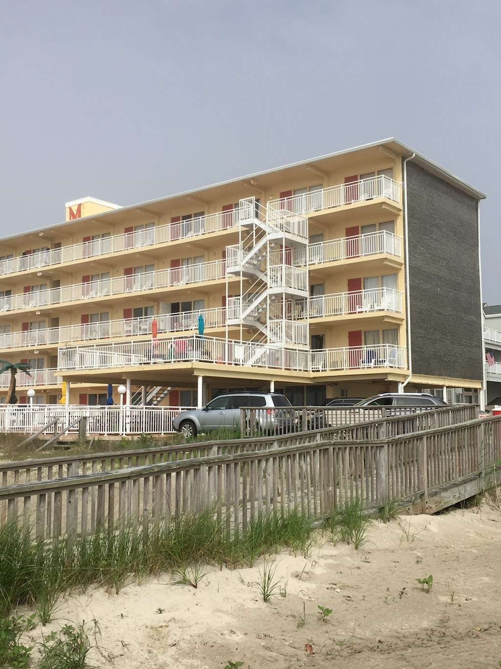 Sun Dog on the Beach | 430 E Louisville Ave, Wildwood Crest, NJ 08260, USA | Phone: (609) 305-4293