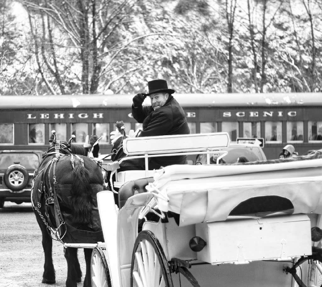 Scott Lignore Carriage Rides | 2744, 552 Behrens Rd, Jim Thorpe, PA 18229, USA | Phone: (570) 656-0117