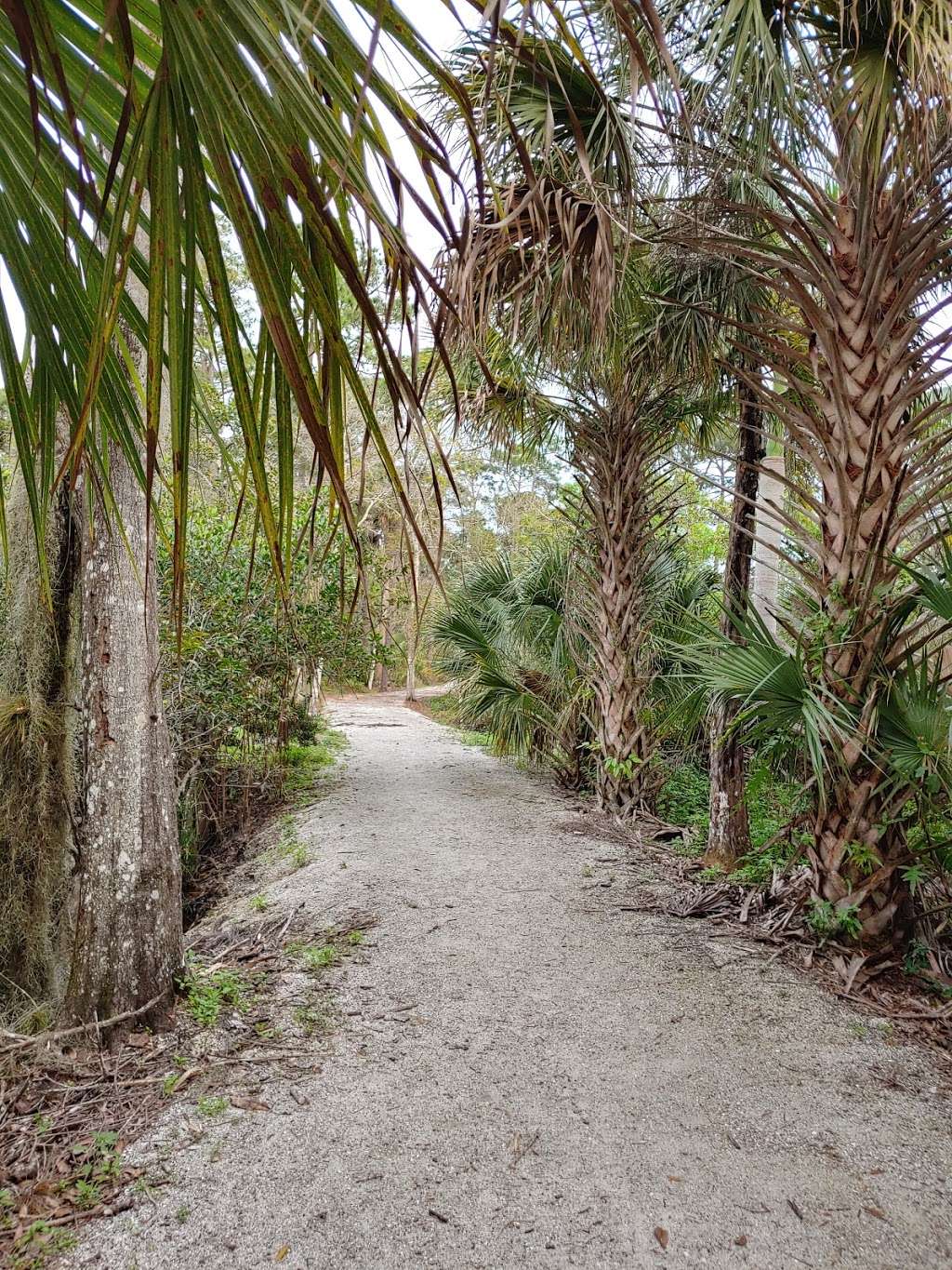 Delaplane Preserve Park | 536 SW Linden St, Stuart, FL 34997, USA