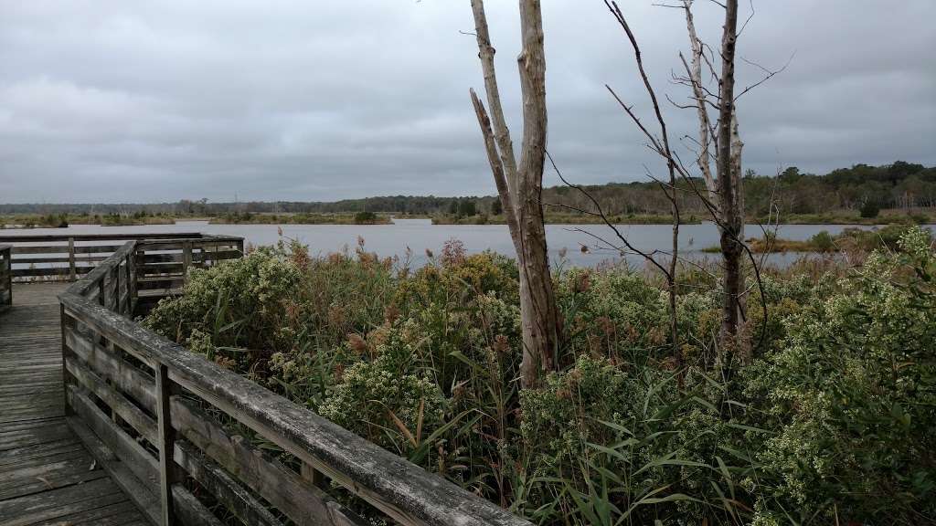 Edwin B Forsythe National Wildlife Refuge | Barnegat, NJ 08005