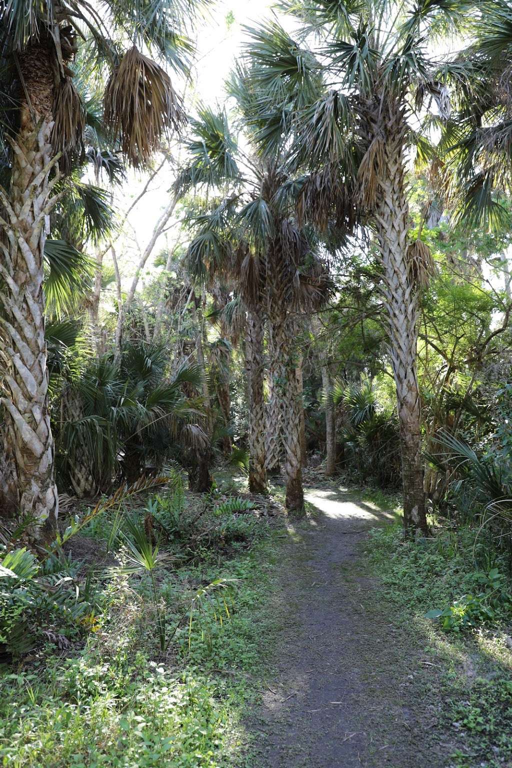 Apollo Visitor Center | 7611 S Atlantic Ave, New Smyrna Beach, FL 32169, USA | Phone: (386) 428-3384 Apollo Visitor Center | 7611 S Atlantic Ave, New Smyrna Beach, FL 32169, USA | Phone: (386) 428-3384