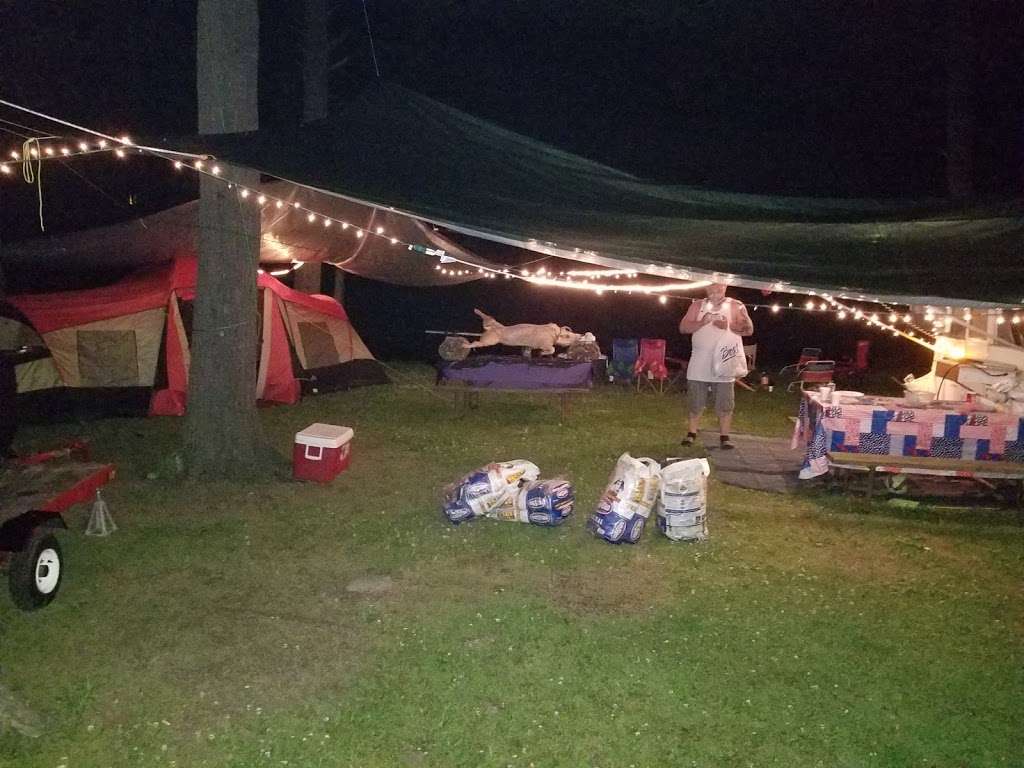 Moyers Grove Campground | 309 Moyers Grove Rd, Wapwallopen, PA 18660, USA | Phone: (570) 379-3375