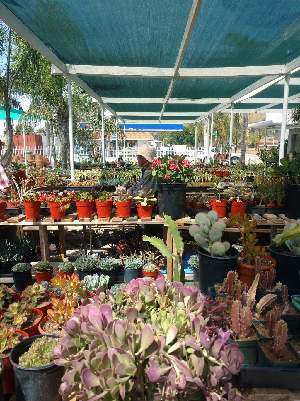 E Street Garden Center | 3293 N E St, San Bernardino, CA 92405, USA | Phone: (909) 886-6006