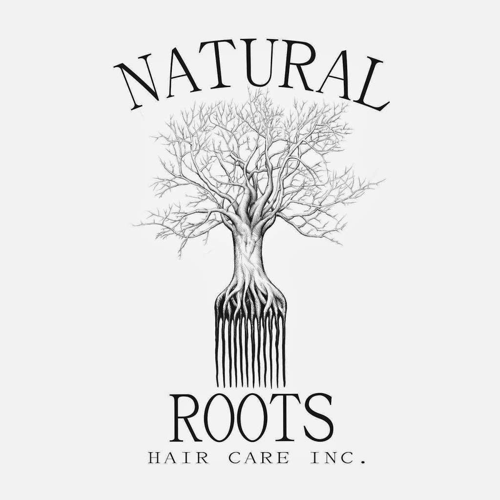 Natural Roots Hair Care | 491 Broadway, Amityville, NY 11701, USA | Phone: (631) 789-6440