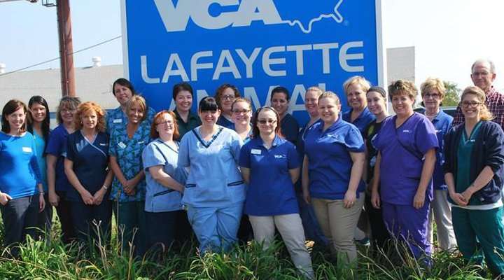 VCA Lafayette Animal Hospital | 3532 South St, Lafayette, IN 47905, USA | Phone: (765) 447-0521