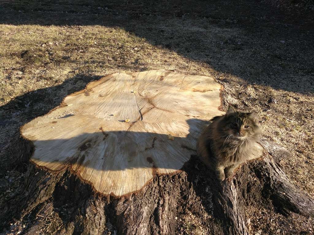 Creekside Estates | 6500 Kansas Ave, Kansas City, KS 66111, USA | Phone: (913) 287-7611