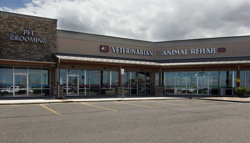 Animal Care Center of Castle Pines | 562 East Castle Pines Pkwy #C5, Castle Rock, CO 80108, USA | Phone: (303) 688-3660