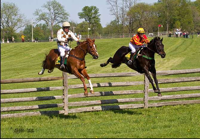 Equine Veterinary Care | Fair Hill Training Center Drive 288, Training Center Dr, Elkton, MD 21921 | Phone: (410) 392-6646