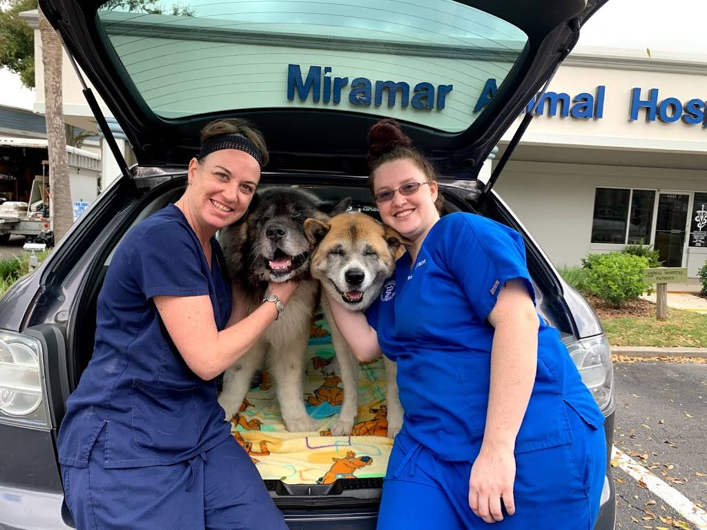 Miramar Animal Hospital | 4448 Hendricks Ave #1, Jacksonville, FL 32207, USA | Phone: (904) 737-0403