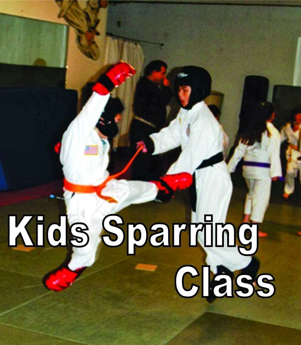 Family Martial Arts Center LLC | 320 Tesconi Cir D, Santa Rosa, CA 95401, USA | Phone: (707) 528-4910