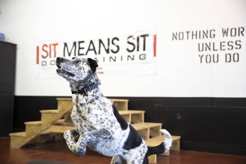Sit Means Sit Dog Training Minneapolis | 8485 Plaza Blvd NE, Spring Lake Park, MN 55432, USA | Phone: (763) 913-8546