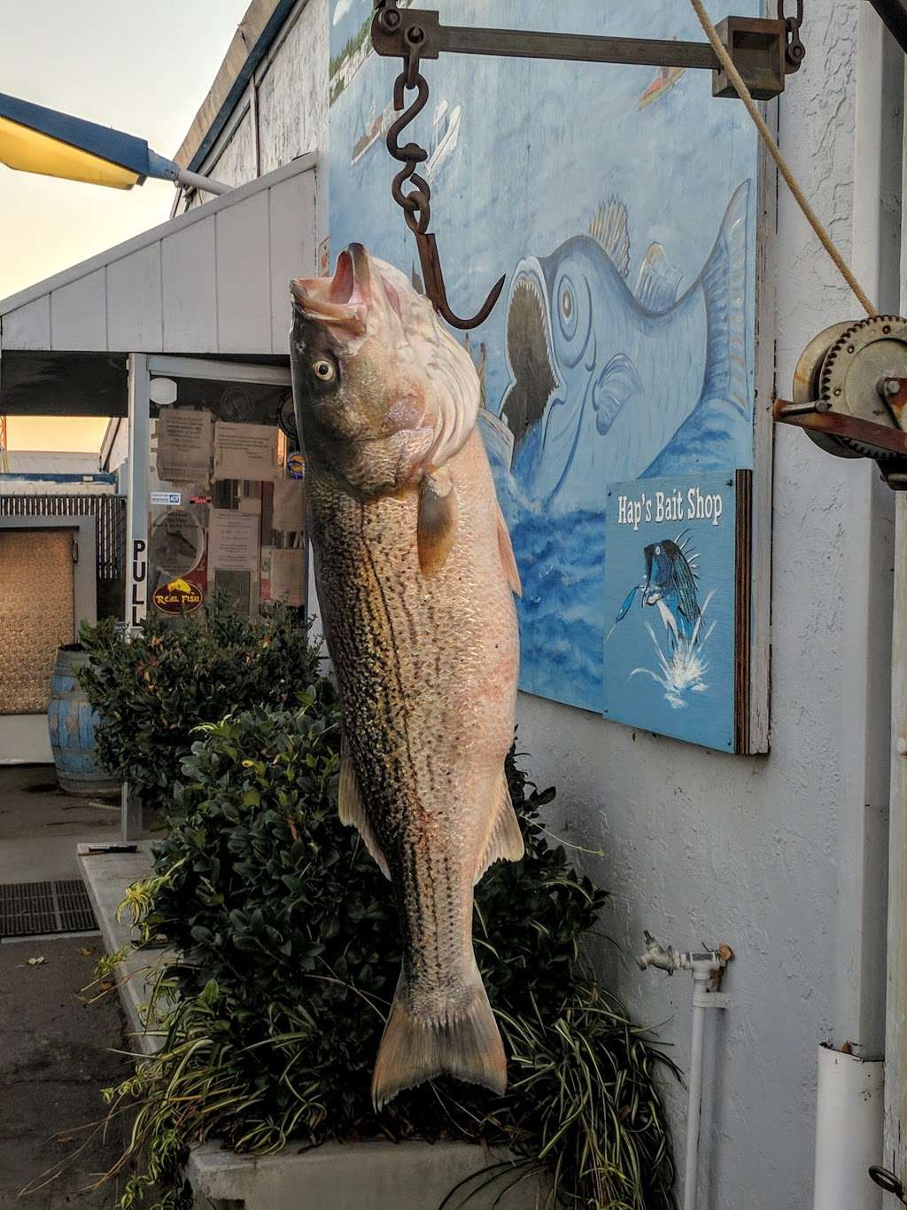 Haps Bait & Tackle | 84 Main St, Rio Vista, CA 94571, USA | Phone: (707) 374-2372