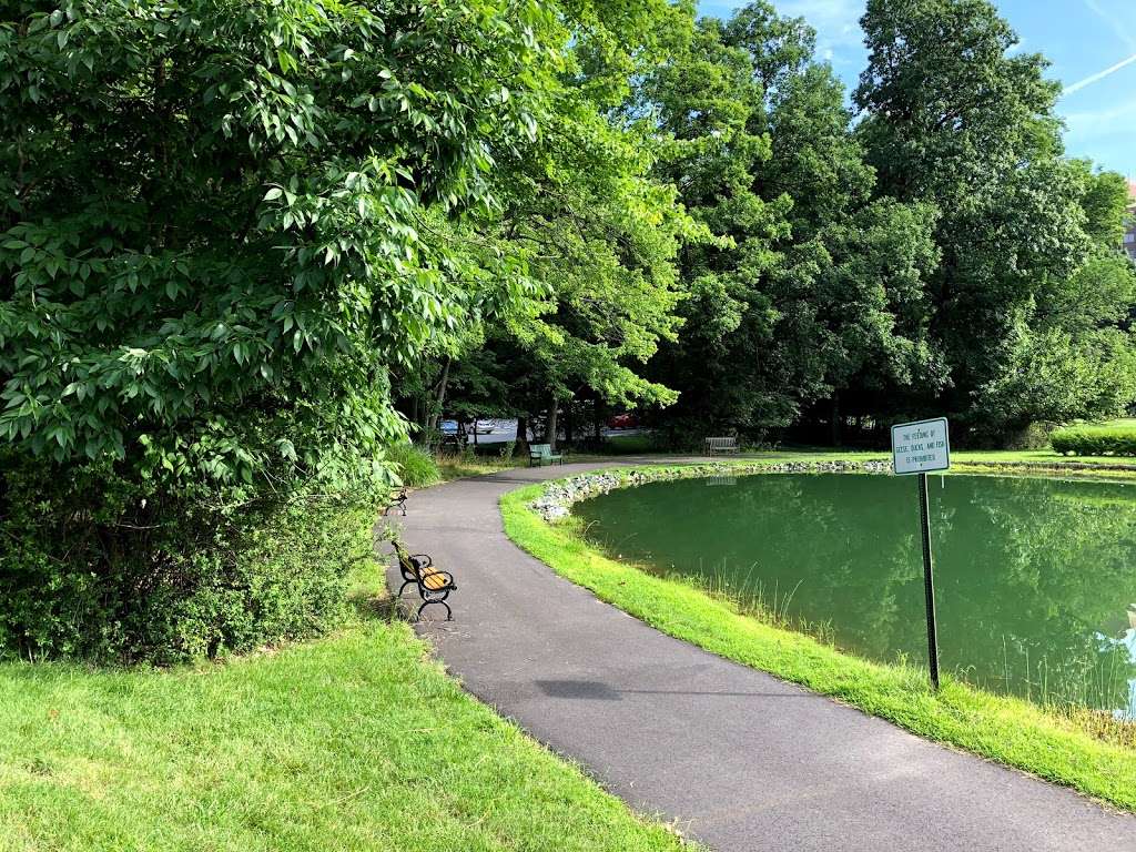 Pedestrian Path at The Greens, Leisure World | Leisure World, MD 20906, USA