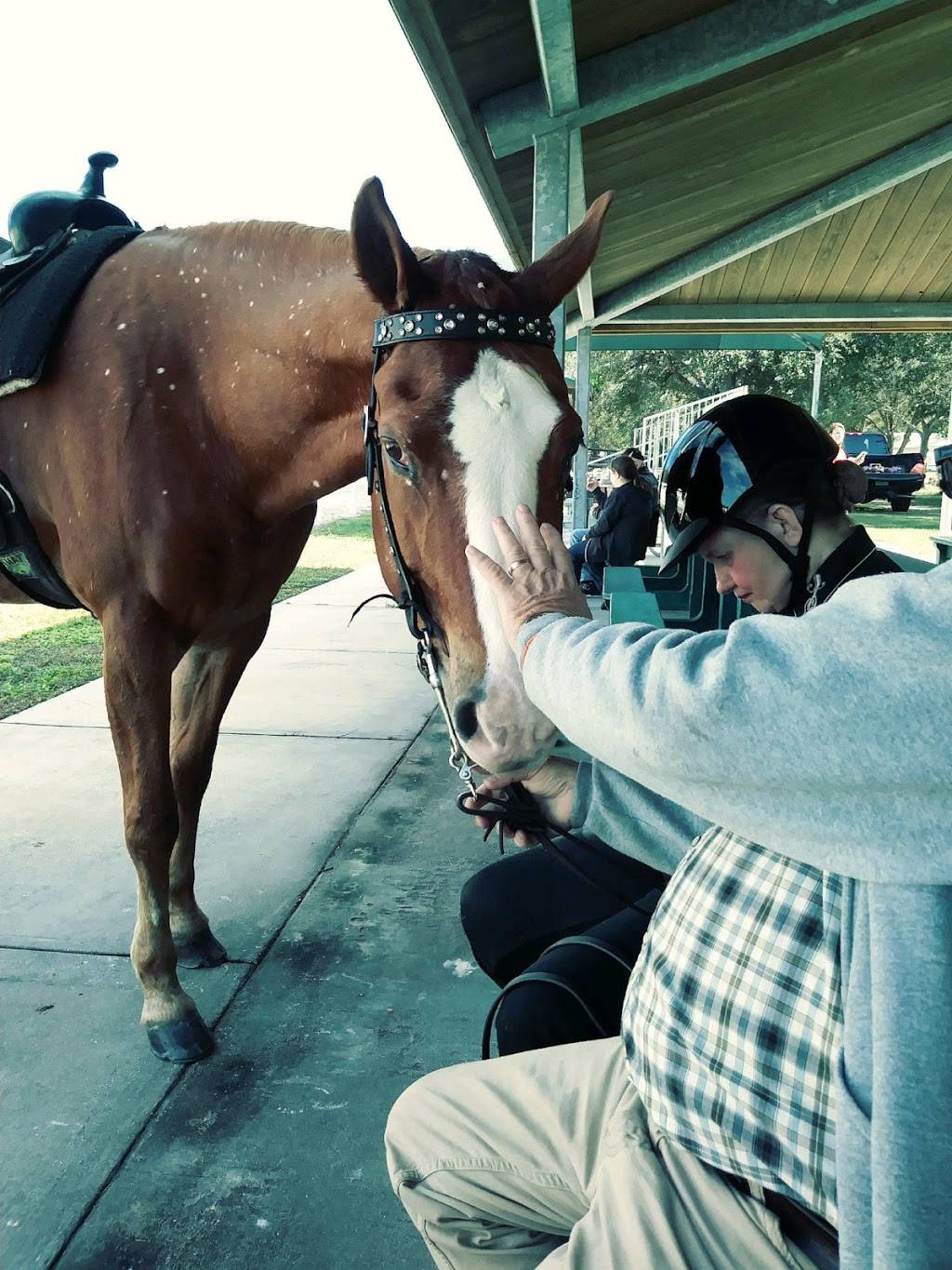 Helen Howarth Dog Park | 6301 94th Ave, Pinellas Park, FL 33782, USA | Phone: (727) 369-0671