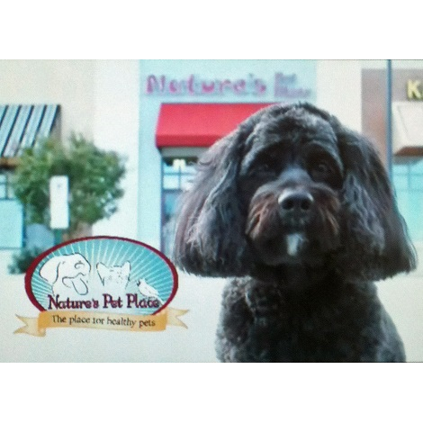 Natures Pet Place LLC | 1446 Baltimore St, Hanover, PA 17331, USA | Phone: (717) 632-2000