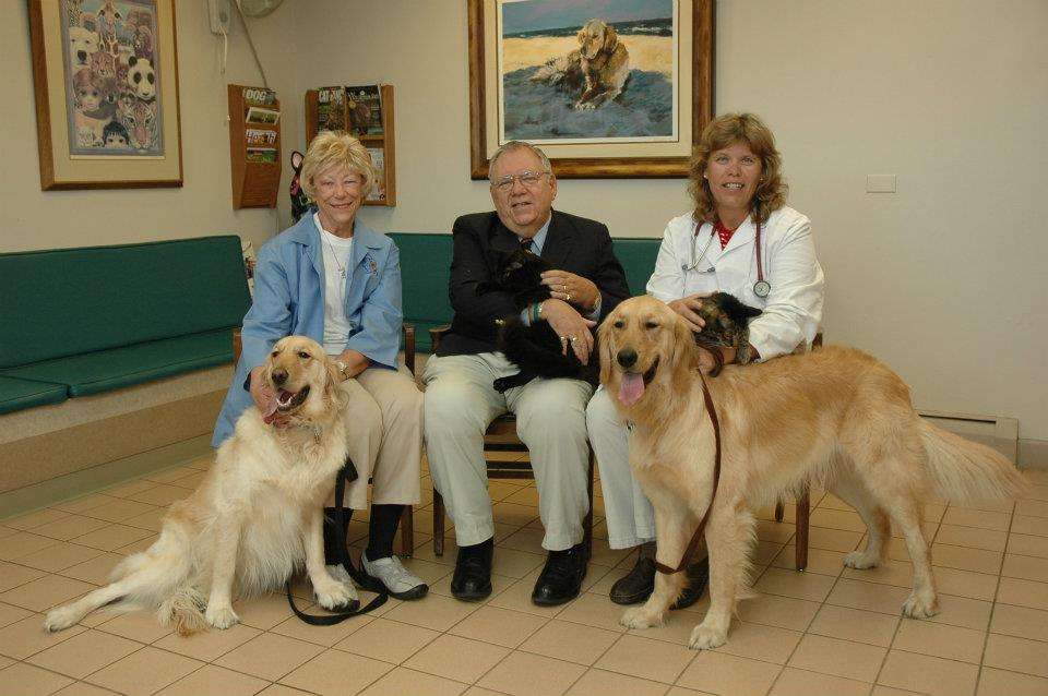 Lombard Veterinary Hospital | 244 E St Charles Rd, Lombard, IL 60148, USA | Phone: (630) 627-7090