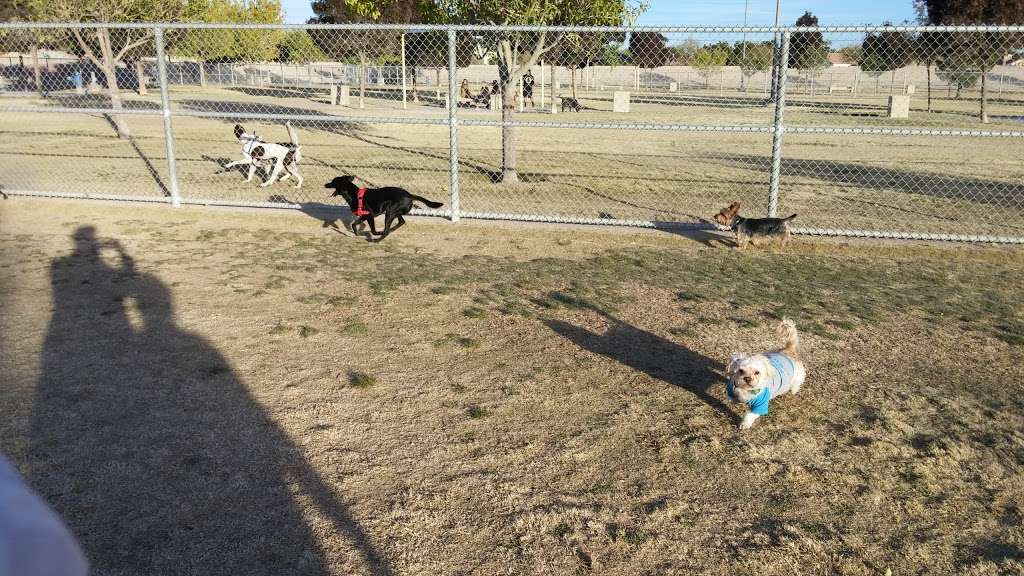 BARKIN BASIN PARK | 7351 W Alexander Rd, Las Vegas, NV 89129