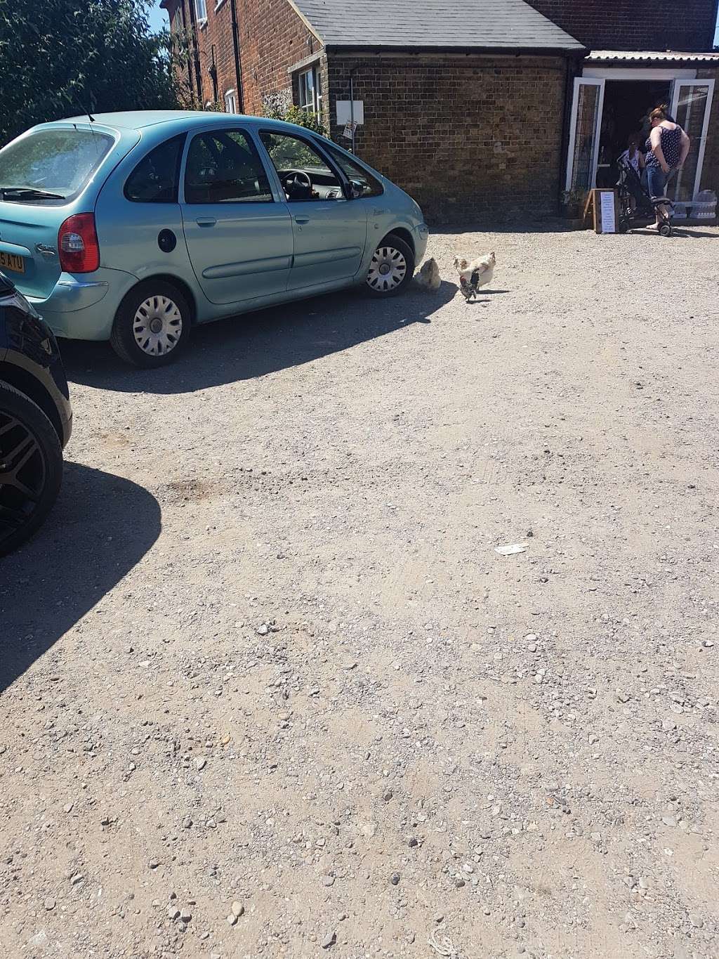 Harvel House Farm Shop Harvel House Harvel Ln Meopham Gravesend Da13 0dh Uk Harvel House Farm Shop Harvel House Harvel Ln Meopham Gravesend Da13 0dh Uk