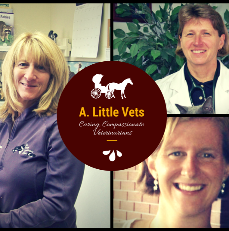 A. Little Veterinary Clinic | 6902 Milford Harrington Hwy, Harrington, DE 19952 | Phone: (302) 398-3367