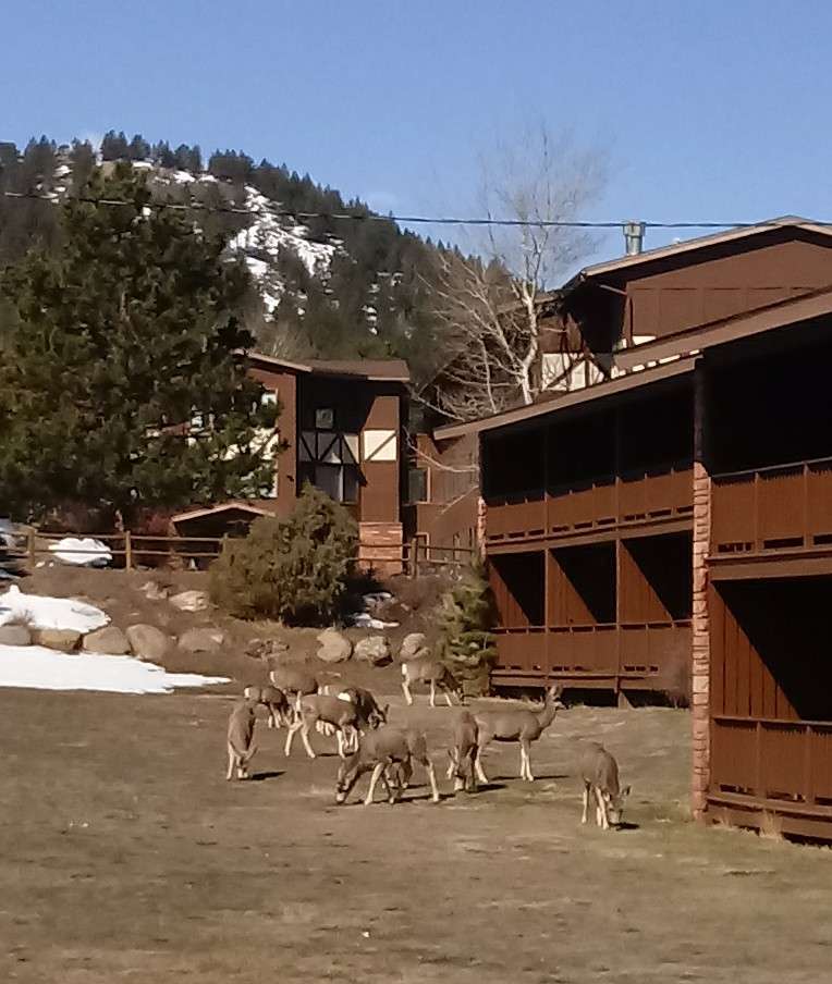 Mt. Ypsilon Lodge | Estes Park, CO 80517 | Phone: (970) 586-3341