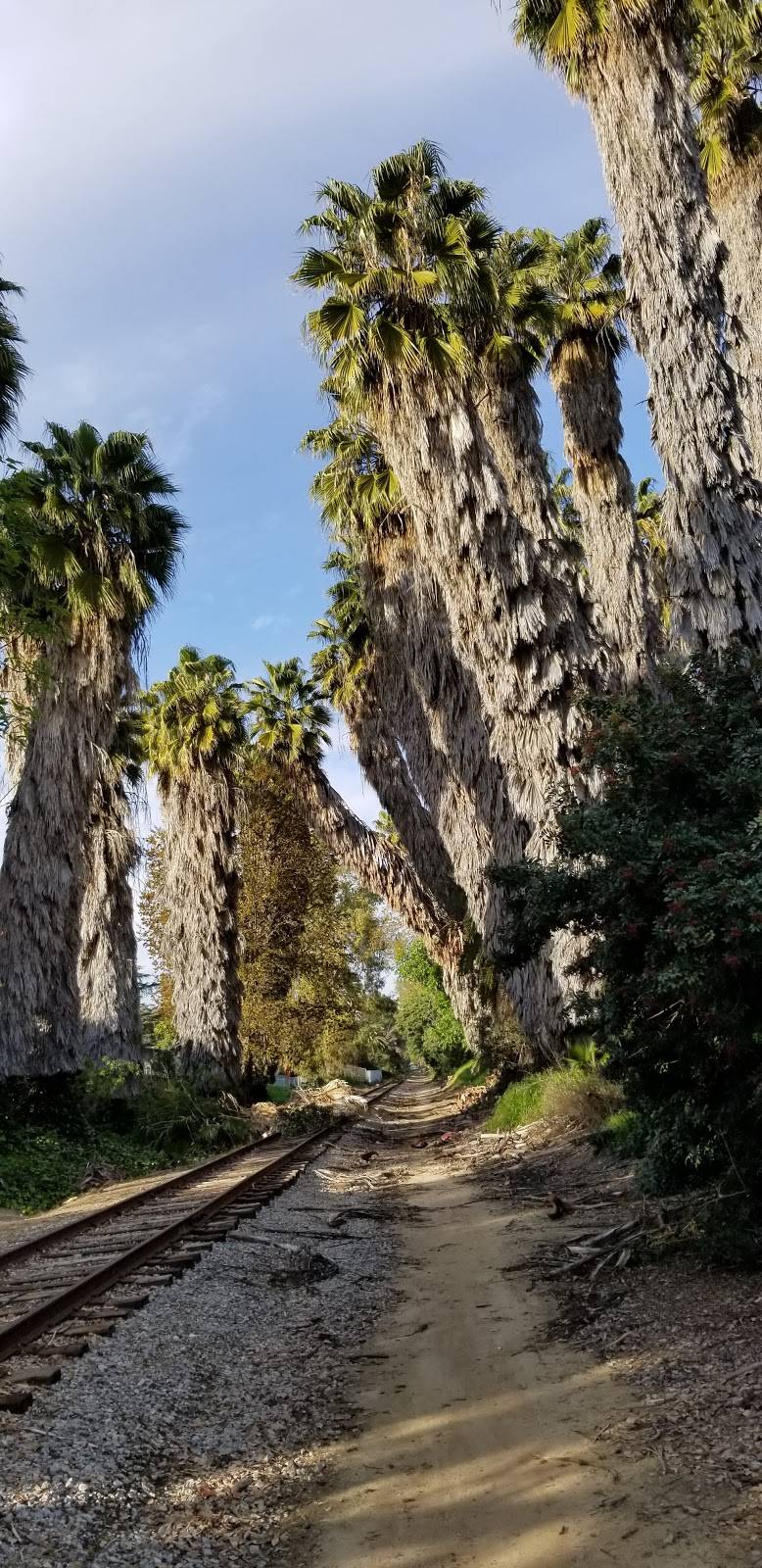 San Juan Park | 2920 San Juan Dr, Fullerton, CA 92835, USA | Phone: (714) 738-6575