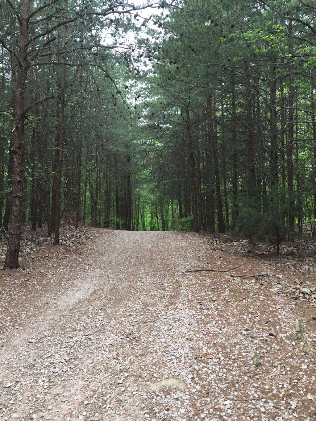 Nannys Mountain Historical Site | York, SC 29745, USA