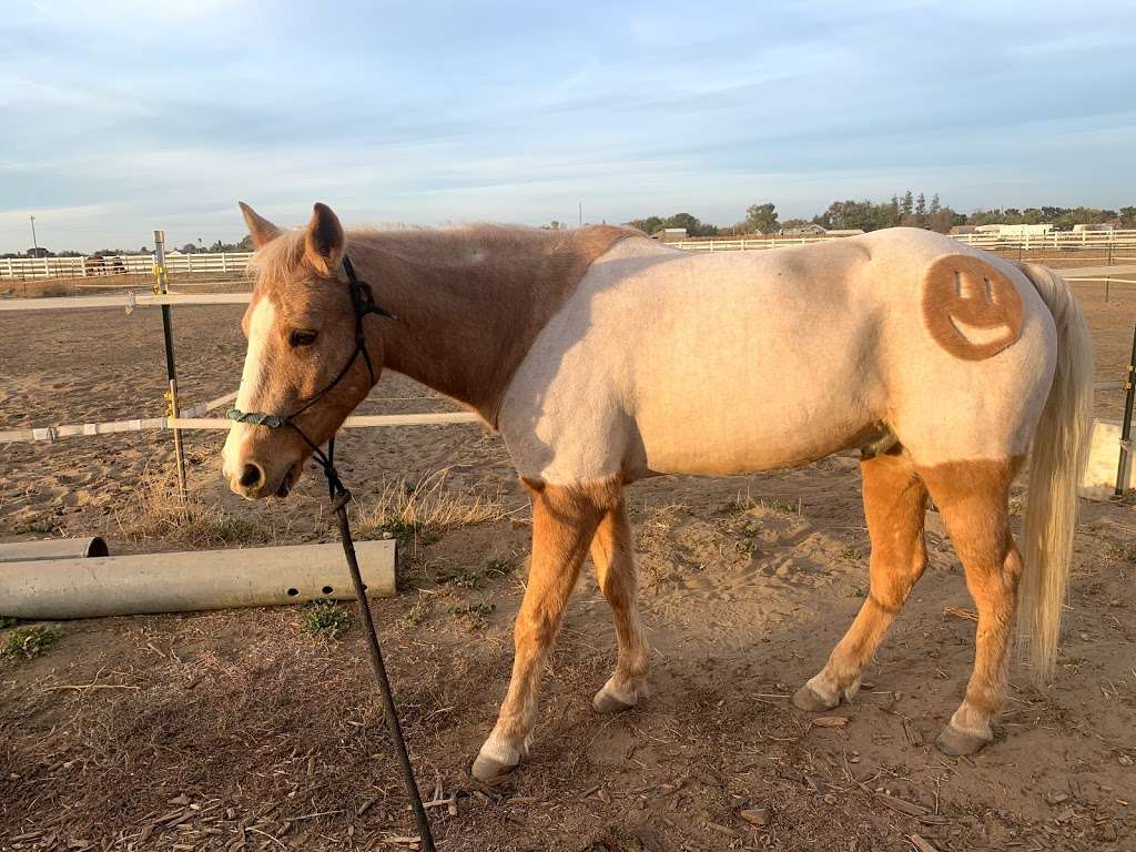 Brentwood Equestrian Center | 2300 Cumming Rd, Brentwood, CA 94513, USA | Phone: (925) 595-4030