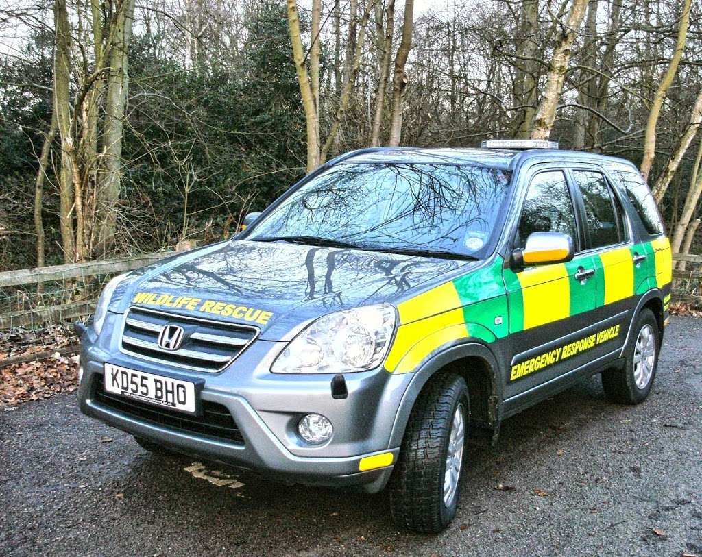 Wildlife Rescue & Ambulance Service (enfield) | Trent park, Cockfosters Rd, Barnet EN4 0PS, UK | Phone: 07970 141282